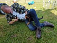 Welpen S-Wurf (Bild #36)