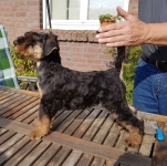 Welpen S-Wurf (Bild #53)