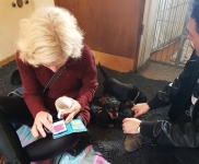 Welpen B-Wurf (Bild #14)