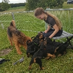 Welpen D-Wurf (Bild #24)