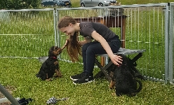 Welpen D-Wurf (Bild #24)